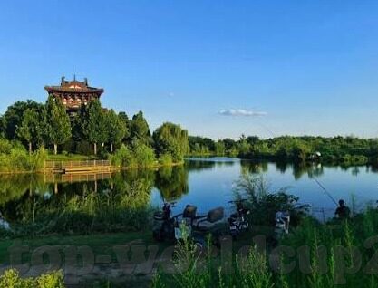 世界杯揭幕战数据揭秘-世界杯揭幕战数据揭秘，速度与激情的碰撞