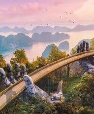 雨燕直播足球比分-雨燕直播，足球比分实时追踪，球迷的掌上观赛神器