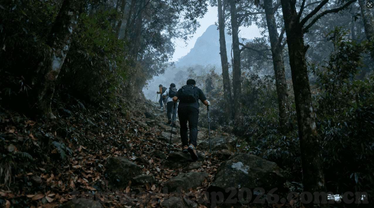 炸金花闷牌绝招-炸金花中的闷牌策略，智慧与运气的微妙平衡